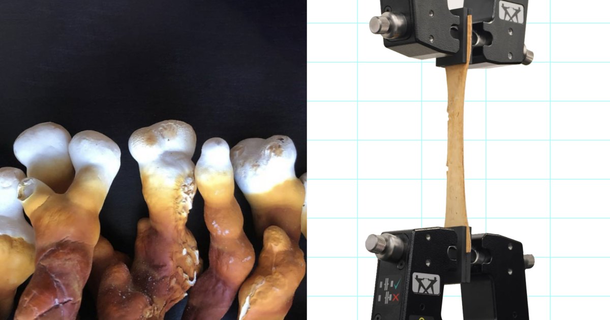 Hard Reset Podcast Leather Episode 7