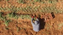 An aerial view of a farmer in a field.