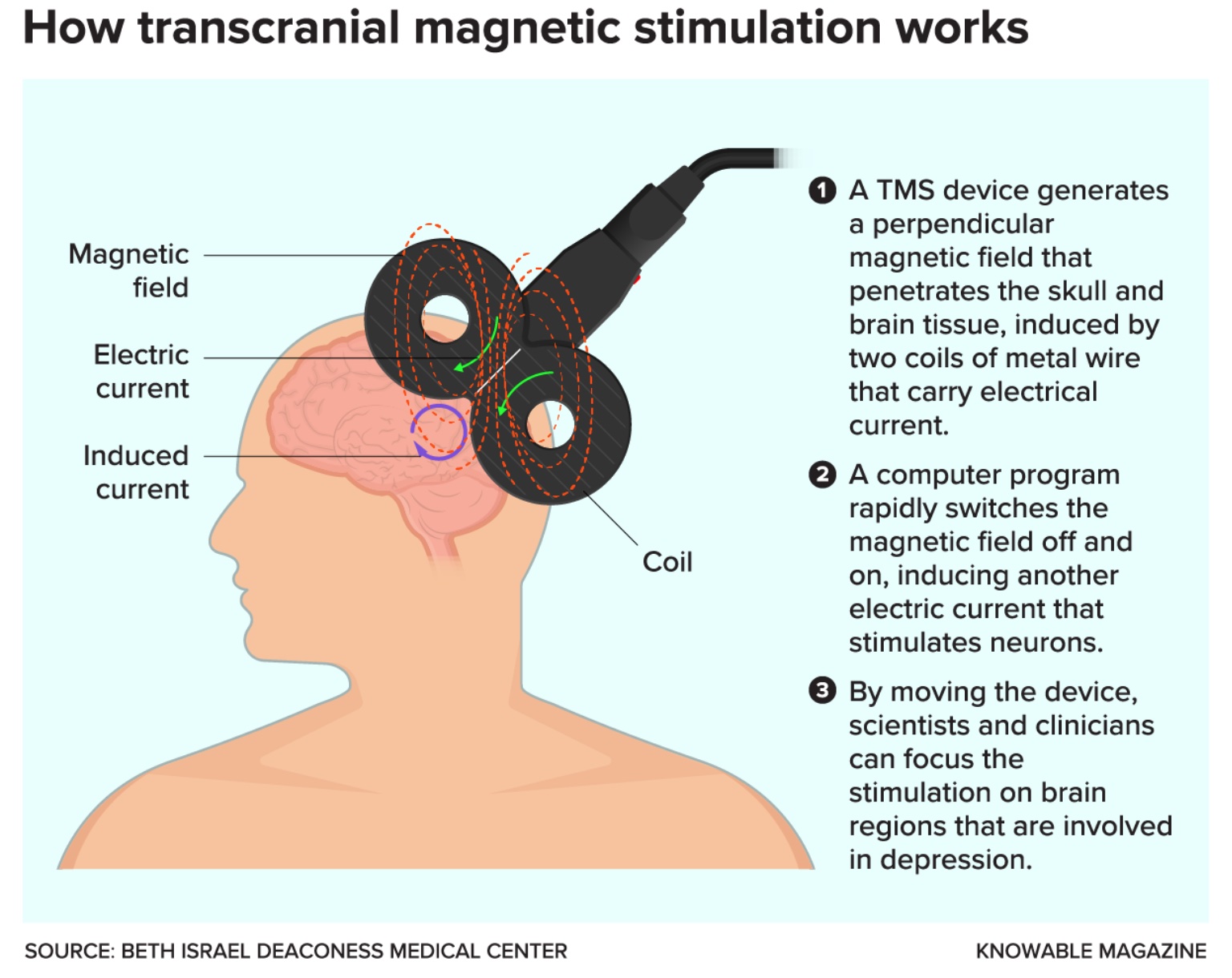 Understanding the mechanism of transmagnetic stimulation in treating depression.