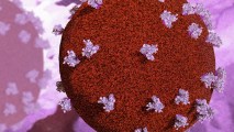 an illustration of HIV