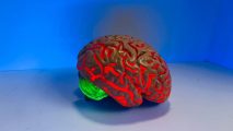 A model of a human brain with red and green lights illustrating mental health conditions like depression.