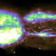 a colorized image of nerve regeneration