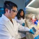 Two scientists in lab coats conducting research