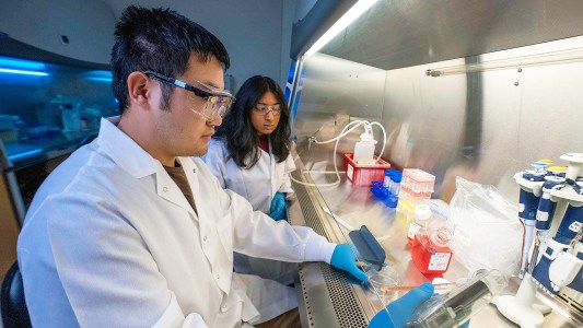 Two scientists in lab coats conducting research