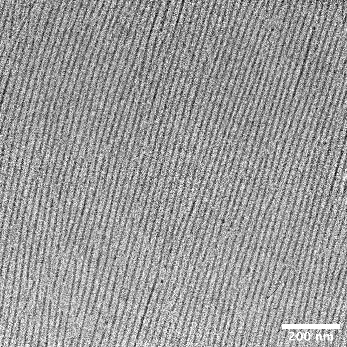 a black-and-white image of the hydrogel under a microscope