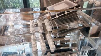 A glass case with a lot of different items in it.