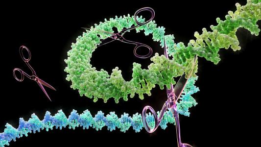 3D rendering of a DNA strand being cut