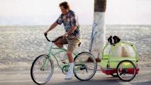 A man riding a bike with a dog in a trailer.