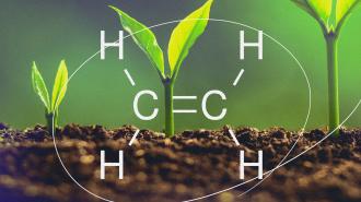 A plant exhibiting robust growth in the soil with a chemical symbol faintly visible in the background.