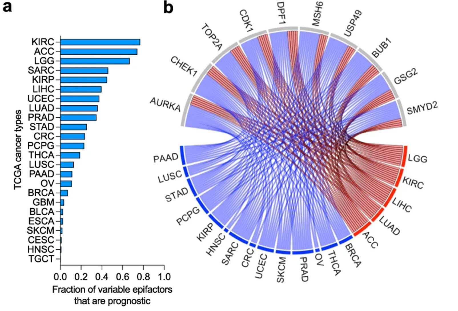 A diagram showing the number of genes in a circle.