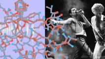 A collage of the band Queen performing onstage, a 3D model of an insulin molecule, and an illustration of soundwaves.