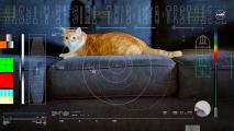 An orange cat is sitting on a couch with graphics over the image