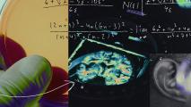 a collage featuring images of the brain and math