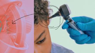 An image of a child having their ear examined