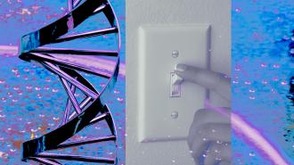 A collage including a light switch with a dna strand.