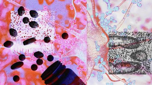 a collage of cells, blood, pills, and other health-related imagery