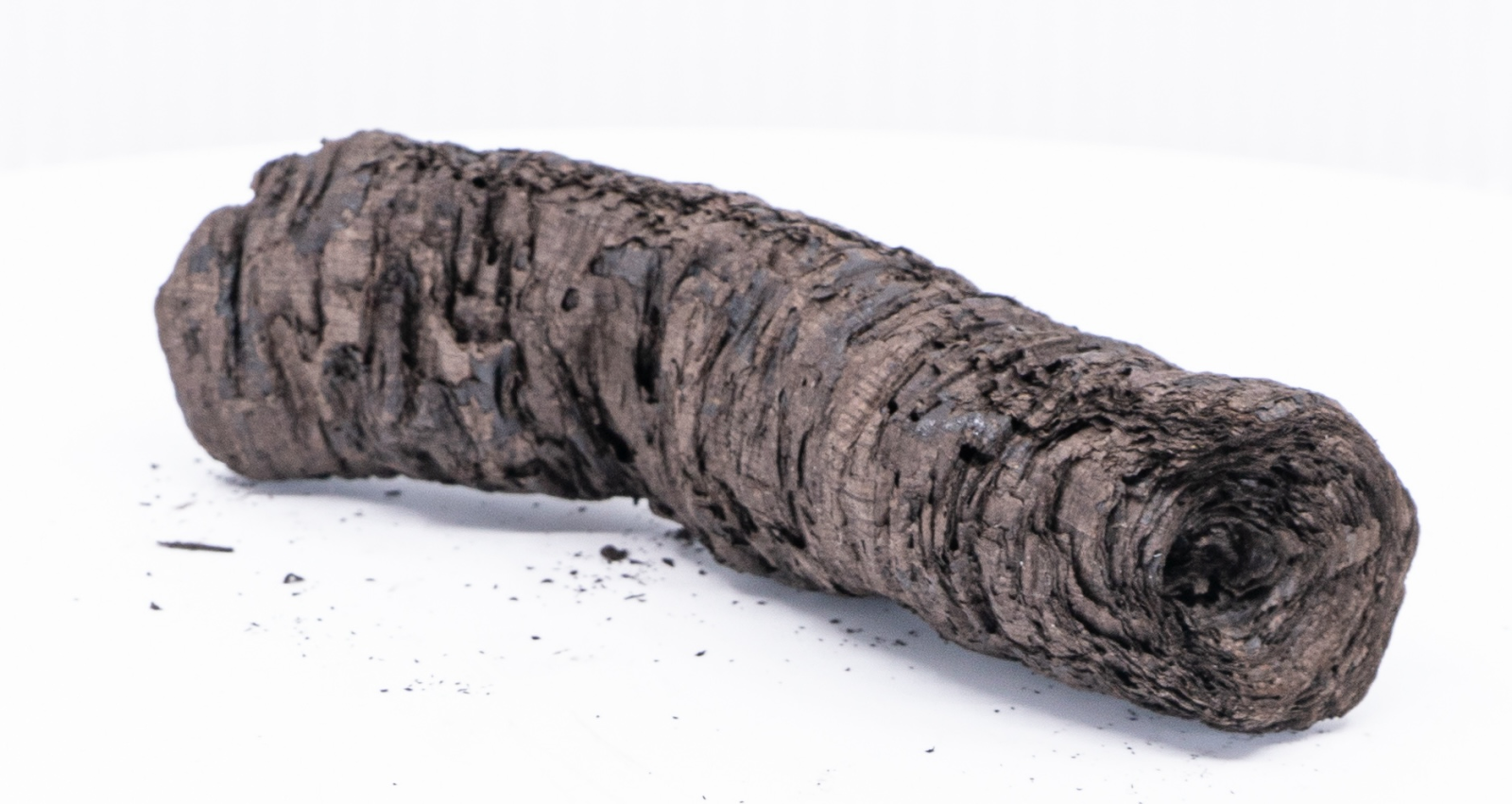 A scroll that had been almost completely burnt up