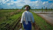 An indian man walking through a rice field.