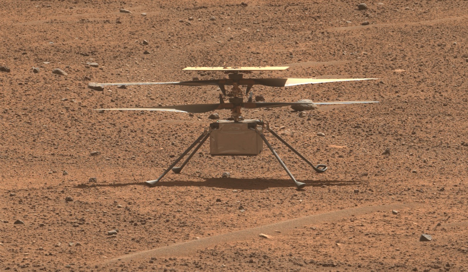 NASA's Mars helicopter on the Red Planet