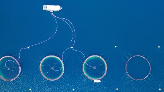 An aerial view of a marine permaculture fish farm in the ocean.