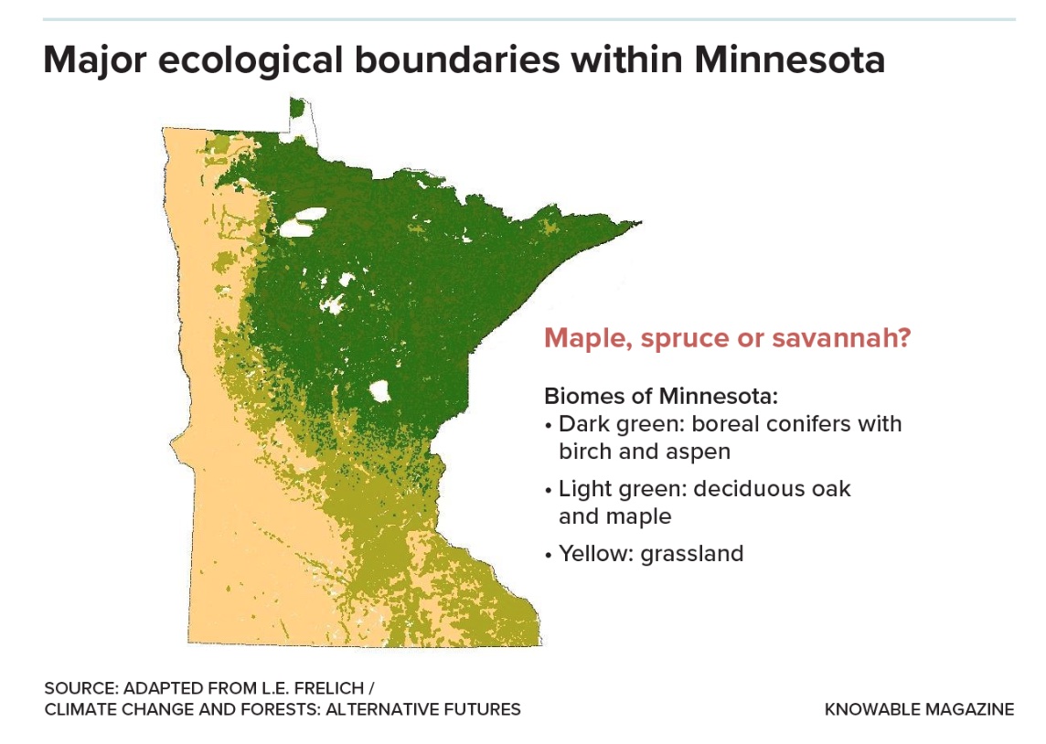 Ecological map highlighting the distribution of different biomes in minnesota, including forested areas and grasslands.