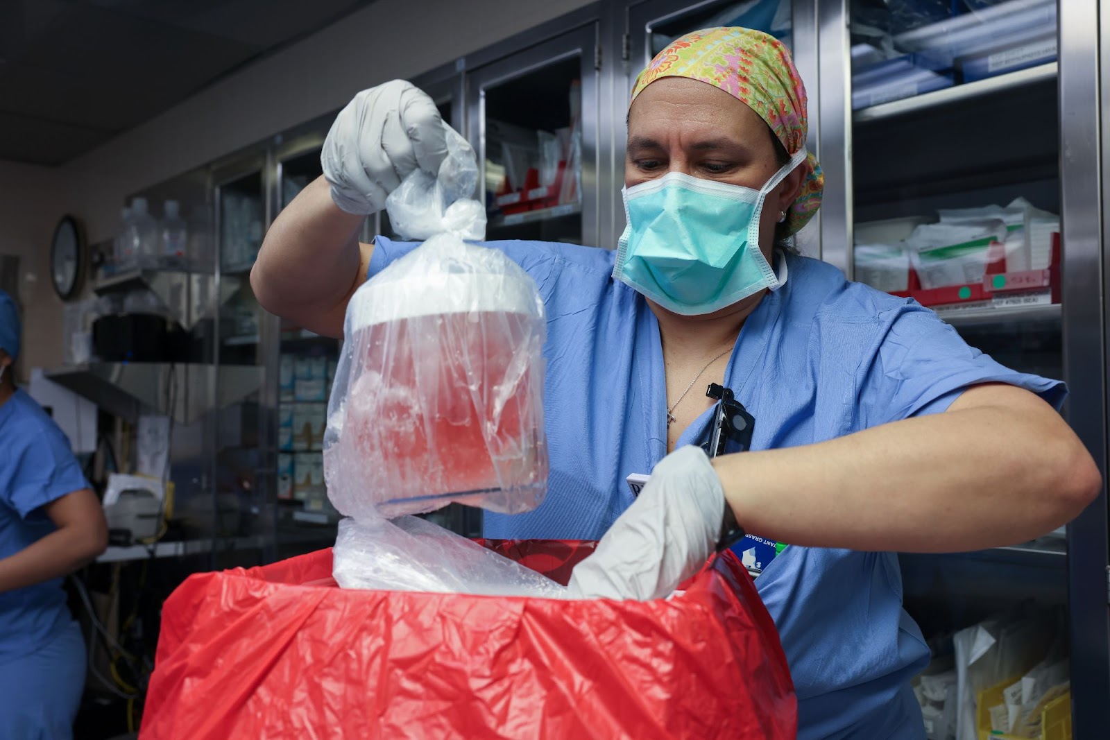 a healthcare working holding up a bag containing a pig kidney