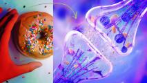 A person is holding a serotonin-boosting donut with sprinkles on it.