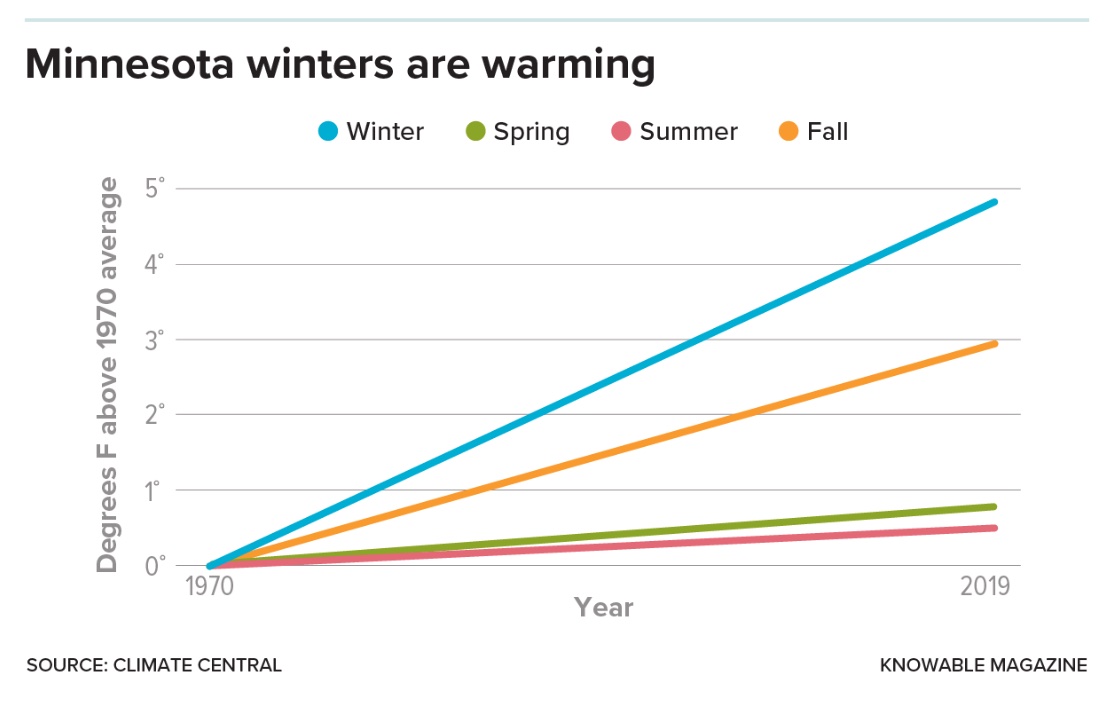 Graph showing a notable increase in average winter temperatures in minnesota over the years, compared to smaller changes in other seasons.