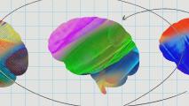 A colorful, textured 3D AI brain model centered on a grid background with elliptical lines in black and blue encircling it.