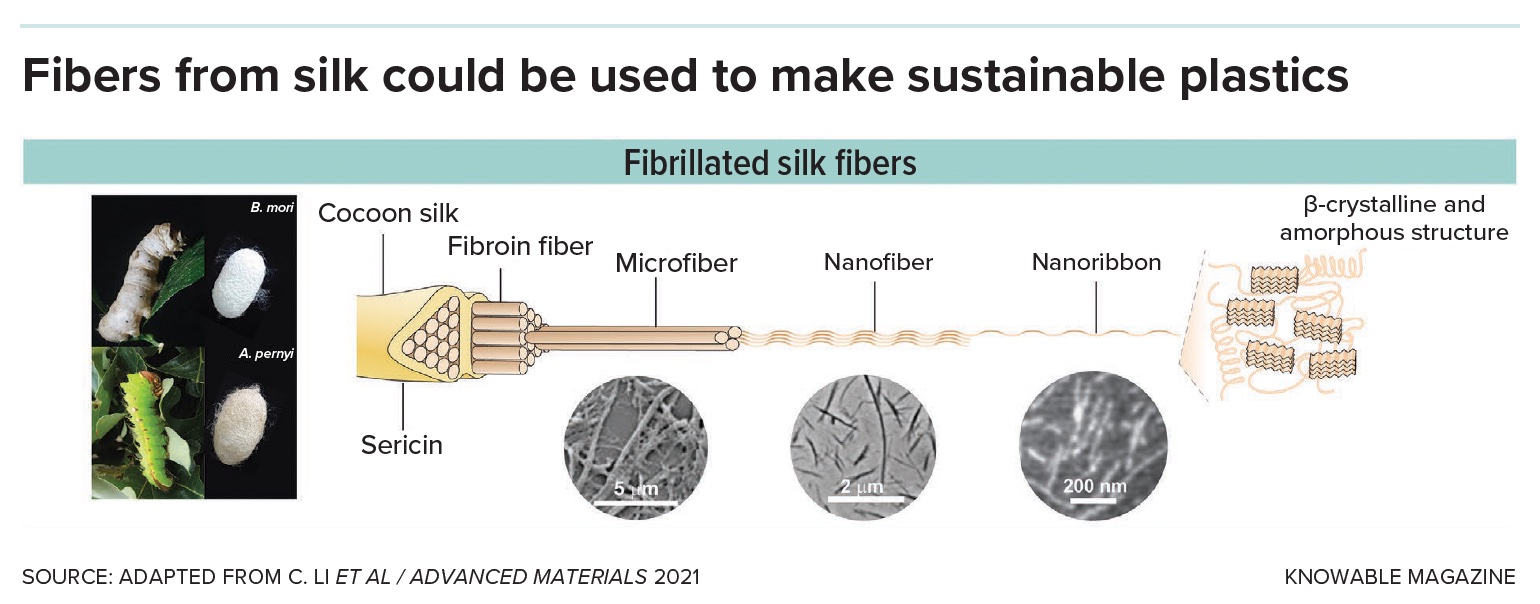 Infographic showing the process of turning cocoon silk into compostable plastics, depicting silk fibers' stages from cocoon to nanoribbon, and their microstructures.