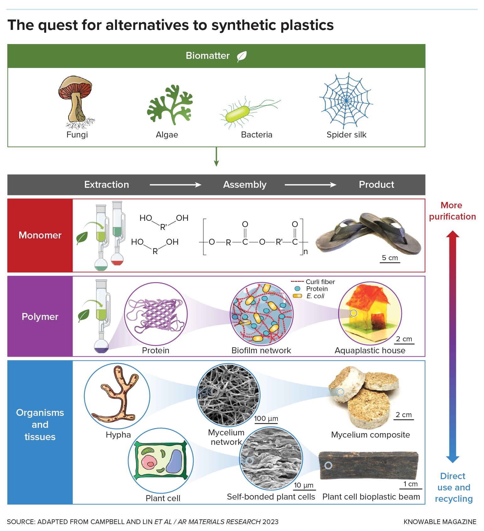 Graphic showing the quest for alternatives to synthetic plastics, displaying compostable plastic sources, production stages from monomer to product, and various biomaterial forms like mycelium and algae.