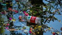 A discarded compostable plastic bottle floats among leaves and flower petals on the surface of a murky pond.