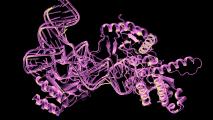 A 3D representation of a protein structure is shown in purple on a black background with various helices, spirals, and chains.