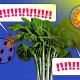 A vibrant graphic illustration featuring a large leafy plant with integrated plant sensors, comic-style speech bubbles containing exclamation marks, and a round bubble depicting ants, set against a blue textured background.