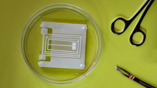 Top-down view of a lab setup with a petri dish containing a microfluidic device, placed next to surgical scissors and a scalpel on a green surface.