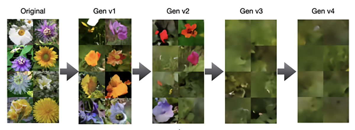 A sequence of images showcasing the original picture of flowers on the left, followed by progressively blurrier and less detailed versions labeled Gen v1, Gen v2, Gen v3, and Gen v4, illustrating model collapse in generative AIs.