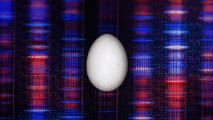 A white egg is centered on a colorful, abstract background resembling a digital DNA sequence with red and blue vertical patterns.