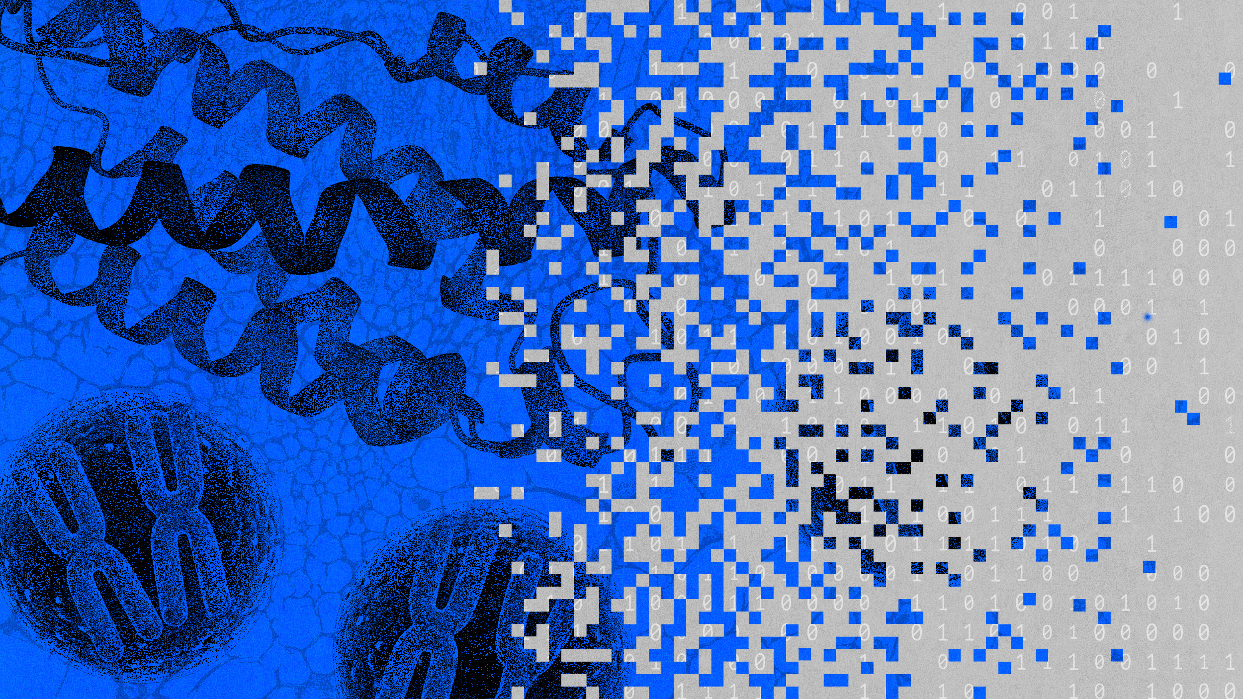 Illustration showing a transition from DNA and chromosomes on the left to pixelated squares and binary code on the right, representing the digitization of biological data.