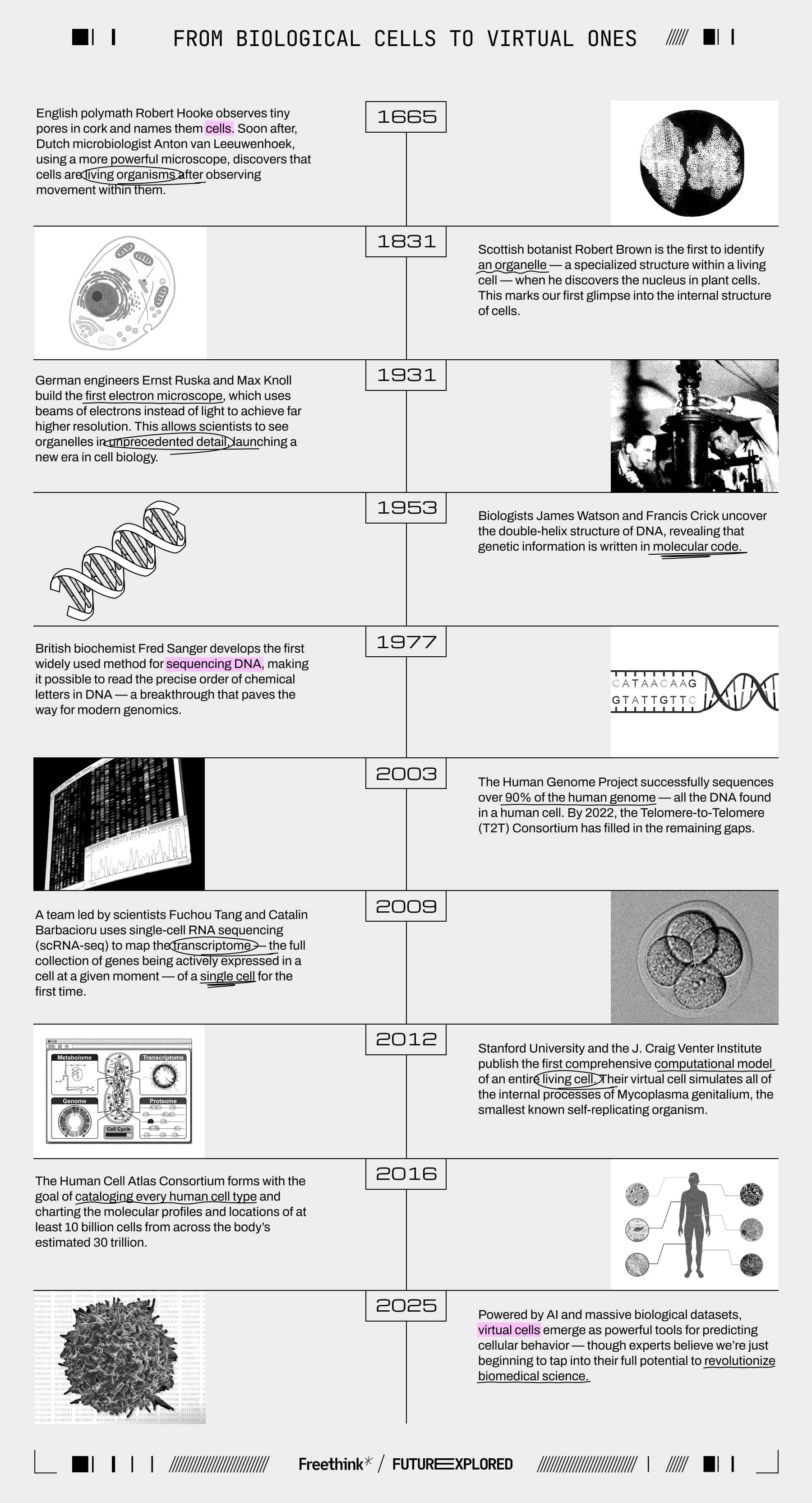 1665 - English polymath Robert Hooke observes tiny pores in cork and names them cells. Soon after, Dutch microbiologist ​​Anton van Leeuwenhoek, using a more powerful microscope, discovers that cells are living organisms after observing movement within them.

1831 - Scottish botanist Robert Brown is the first to identify an organelle — a specialized structure within a living cell — when he discovers the nucleus in plant cells. This marks our first glimpse into the internal structure of cells.

1931 - German engineers Ernst Ruska and Max Knoll build the first electron microscope, which uses beams of electrons instead of light to achieve far higher resolution. This allows scientists to see organelles in unprecedented detail, launching a new era in cell biology.

1953 - Biologists James Watson and Francis Crick uncover the double-helix structure of DNA, revealing that genetic information is written in molecular code.

1977 – British biochemist Fred Sanger develops the first widely used method for sequencing DNA, making it possible to read the precise order of chemical letters in DNA — a breakthrough that paves the way for modern genomics.

2003 - The Human Genome Project successfully sequences over 90% of the human genome — all the DNA found in a human cell. By 2022, the Telomere-to-Telomere (T2T) Consortium has filled in the remaining gaps.

2009 - A team led by scientists Fuchou Tang and Catalin Barbacioru uses single-cell RNA sequencing (scRNA-seq) to map the transcriptome — the full collection of genes being actively expressed in a cell at a given moment — of a single cell for the first time.

2012 - Stanford University and the J. Craig Venter Institute publish the first comprehensive computational model of an entire living cell. Their virtual cell simulates all of the internal processes of Mycoplasma genitalium, the smallest known self-replicating organism.

2016 - The Human Cell Atlas Consortium forms with the goal of cataloging every human cell type and charting the molecular profiles and locations of at least 10 billion cells from across the body’s estimated 30 trillion.

2025 - Powered by AI and massive biological datasets, virtual cells emerge as powerful tools for predicting cellular behavior — though experts believe we’re just beginning to tap into their full potential to revolutionize biomedical science.
