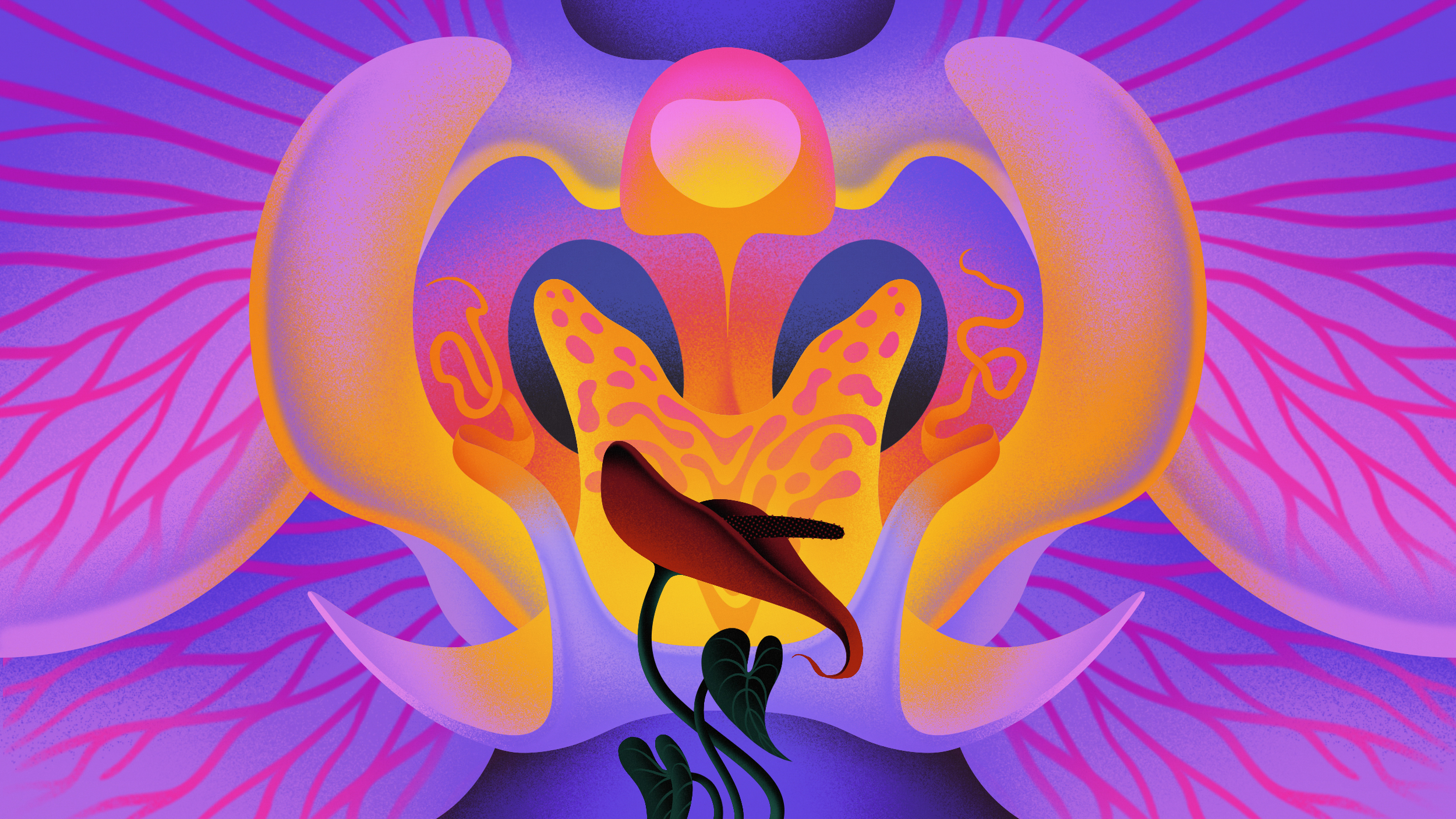 Abstract illustration of a brightly colored pelvis with stylized internal organs and a red flower in the center, symbolizing vitality and longevity, set against a pink and purple background.