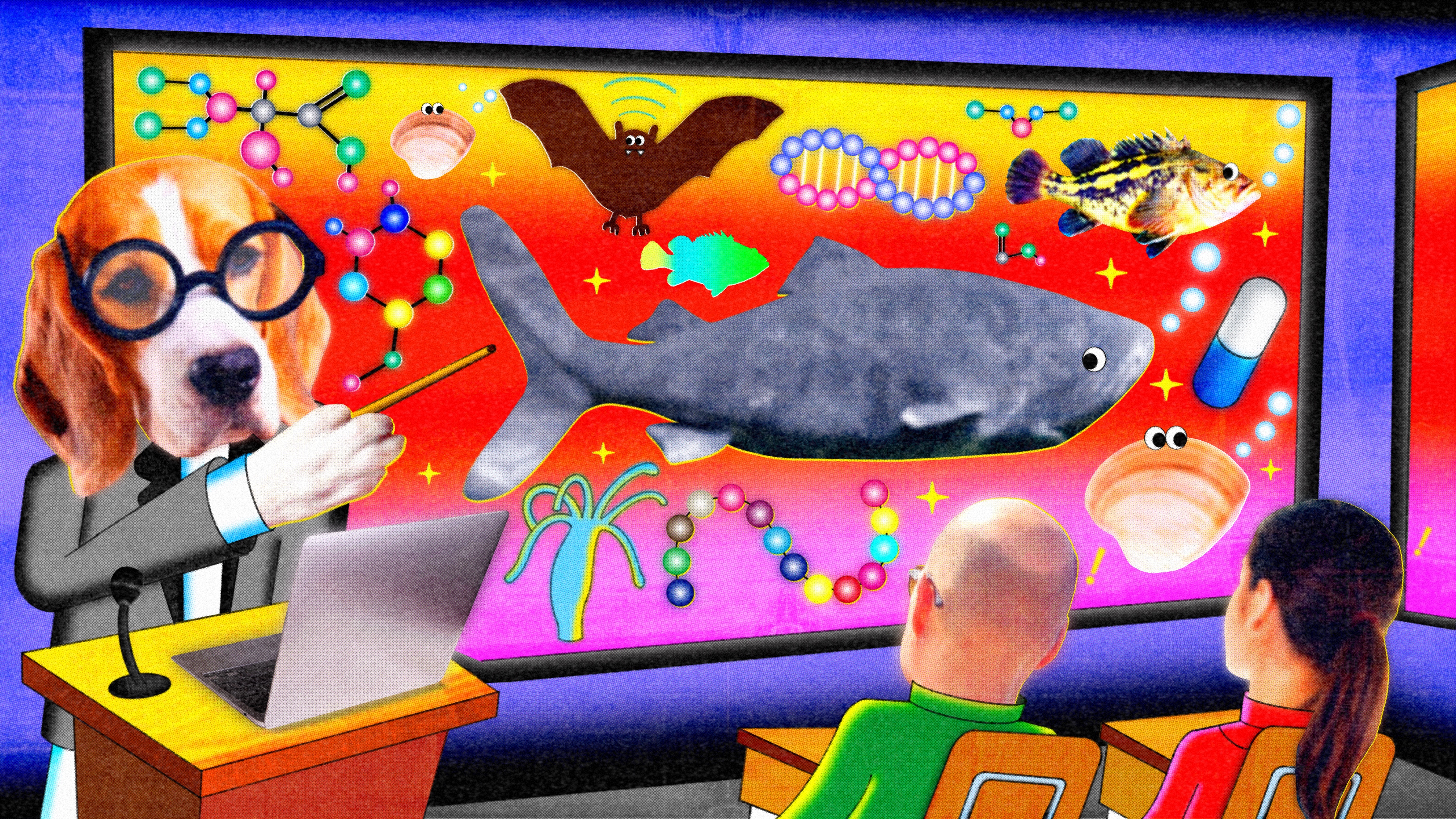 A dog wearing glasses points to a colorful classroom display about animal aging, featuring a shark, bat, fish, pill, and molecules while two students watch.